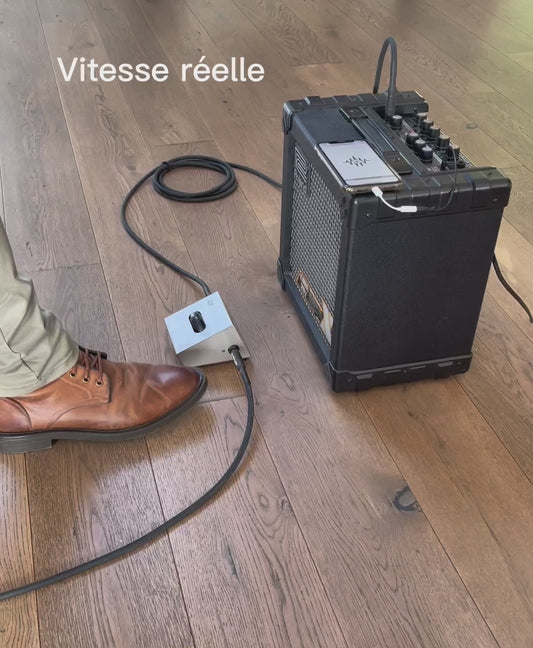 Pédale de volume ROLL PRECISION (Frais de port gratuits en France Métropolitaine.)